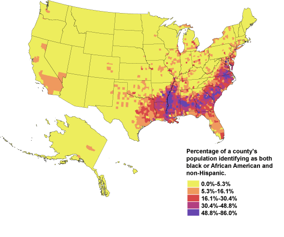 African Americans in the US, 2000