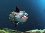Blue Planet