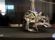 Darpa Cheetah Robot beats Land Speed Record