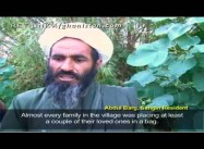 Dispute over Civilian Casualties Roils US-Afghan Relations