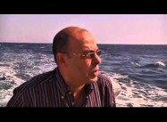 Egyptian Official: Israelis Might be Behind attacks by Sharks, which seem to be Beasts of Prey