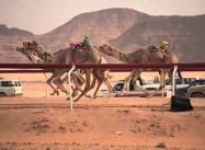 How Fast can a Camel Run?
