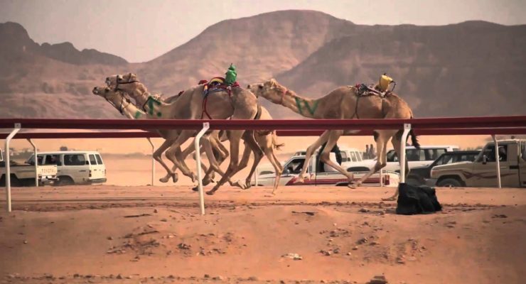 How Fast can a Camel Run?