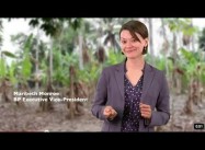 Top Ten True costs of BP Gulf Oil Spill