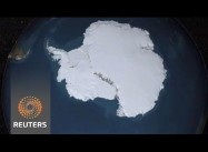 West Antarctic ice sheet collapse ‘unstoppable’, says NASA