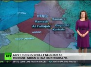 Falluja and Gaza: Why Counter-Terrorism fails when the Problem is Political