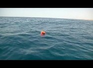 15 Palestinians die in Mediterranean Capsizing, fleeing Israeli Siege of Gaza