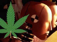 Can Marijuana save your Life in a Car Collision?