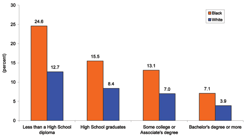 percent blacks in america