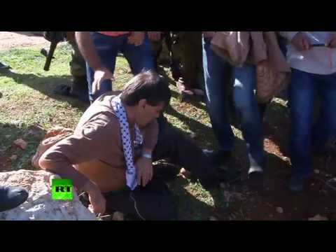 Ferguson on the Jordan: Israeli Soldier Beats Palestinian Cabinet Minister to Death at Tree Planting Ceremony