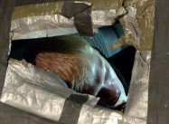 National Shame: 50,000 Homeless Veterans Nationwide