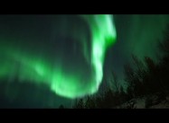 Nature’s Fireworks: The Northern Lights in Troms, Norway