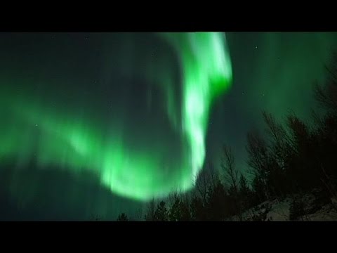 Nature’s Fireworks:  The Northern Lights in Troms, Norway