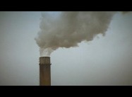 In first, Court orders Dutch gov’t to protect citizens from climate change