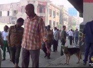 Huge ISIL Blast at Cairo Security Bldg. Injures 29; Sisi Security Claims in Tatters