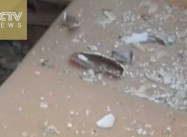 UN: al-Assad, ISIL, al-Qaeda committing Mass Atrocities, Endangering Int’l Security