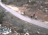 Palestinians need hope, not calm
