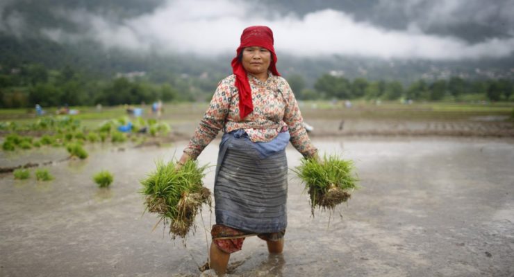 Does Paris Climate Accord hang Women, Indigenous Peoples out to Dry?