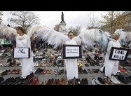 For Pacific Islanders, Paris Climate Summit is Life or Death