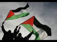 US nonprofits ‘donate over $220 million’ to West Bank settlements