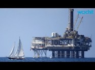 With Oil at $36/barrel, Have Democrats just Won the Presidency?