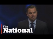 It’s the CO2, Stupid!: 2015 ‘by far’ Hottest Year on Record & New Torrid Normal