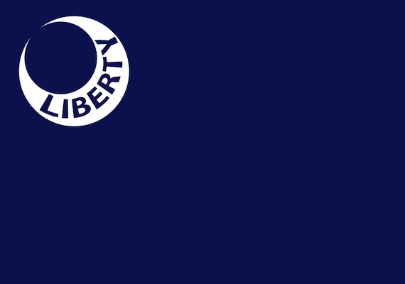 If Southerners want a Symbol, Why not the Moultrie Liberty Flag?