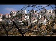 Palestinians Capture Israeli Extremists Who Attacked Farmers