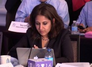 Dissing Progressives, DNC Platform Backs Fracking, TPP, and Israeli Occupation