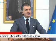 The Greater Middle East Reacts to British Exit from EU
