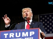 The Palmer Raid: When Trump’s Grandfather and Wives could have been Profiled