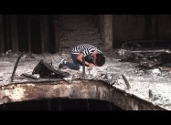 Ordinary Iraqis defy sectarianism after Islamic State’s attacks on Baghdad