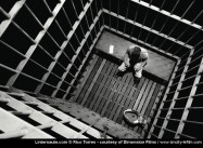 White House Admits Prison spending has grown 3x as fast as Education for Decades