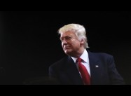 Whose Fault is Trump? Top 7 Culprits