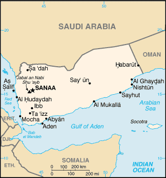 Another Saudi War Crime in Yemen as 43 Prisoners dead in Airstrike
