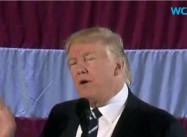 Climate Scientist Enemies List: Internal Trump Memo Sparks Fears of Witch Hunt