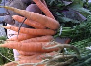 Low-Carbon ‘Eat Local’ Movement taking Spain by Storm