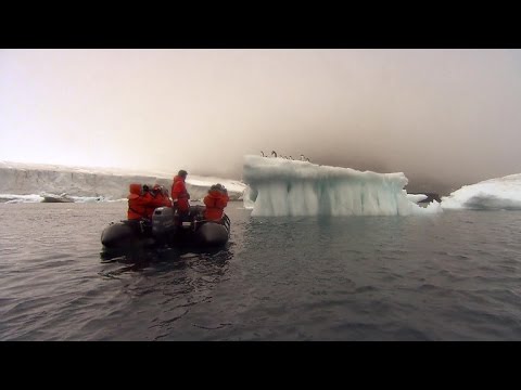 Antarctica: Iceberg Size of Delaware Poised to Break Away