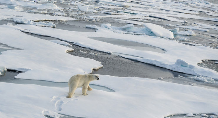 Global Warming in Atlantic driving Rapid Arctic Sea Ice Retreat