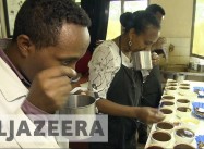 Can Coffee survive Climate Change?