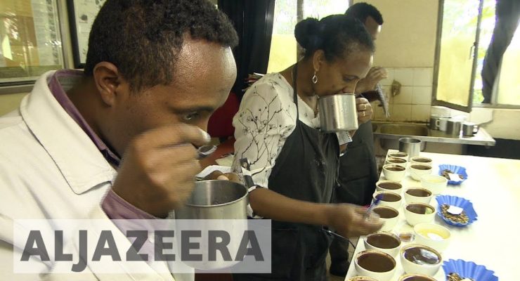 Can Coffee survive Climate Change?