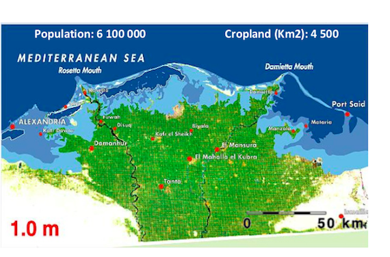 CO2 Catastrophe for Egypt: Rising Seas, Salinization to Displace 5 mn by 2025