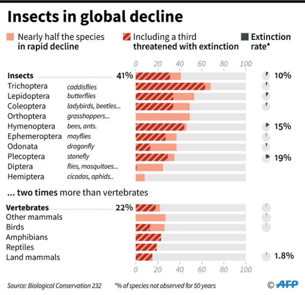 No Insects, No Food: Pesticides, Deforestation have Caused Largest ...