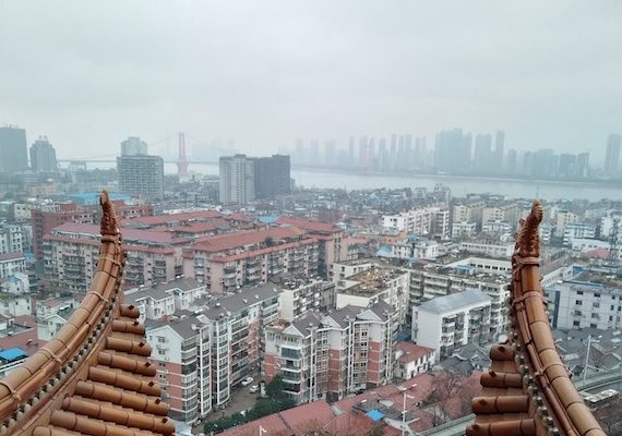 WHO Busts Wuhan Myths: Pandemic started with wild Animal, not Lab, and Wet Market wasn’t Ground Zero