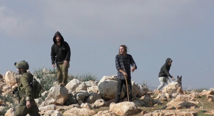 As Israel aims for 1 mn. Squatters on Palestinian Territory, Settler Violence against Indigenous Palestinians Spikes