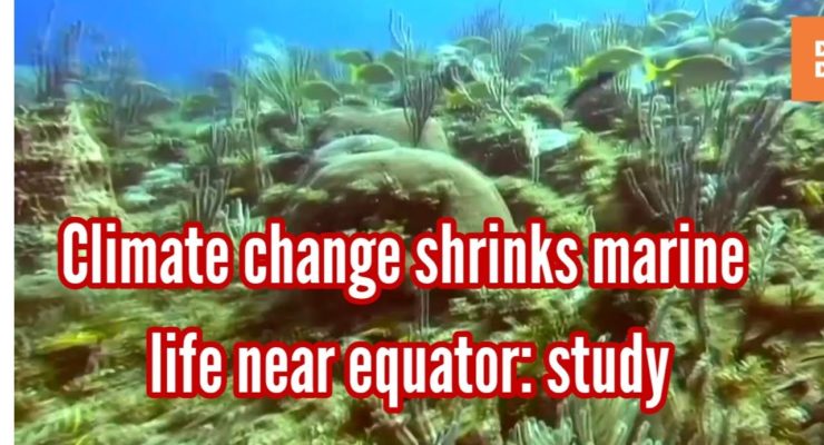 Is Global Heating Triggering a Mass Extinction Event in Oceans?  Marine life is fleeing the equator to cooler waters