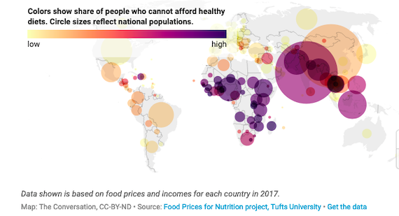 40% of the World’s People, 3 billion Souls, cannot Afford a Healthy Diet