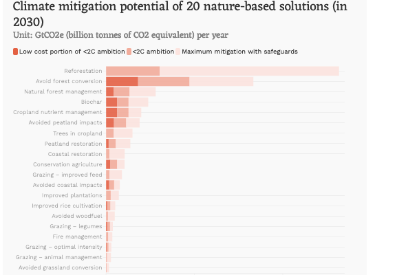 Nature-based solutions: the ‘no-regret’ routes to carbon neutrality