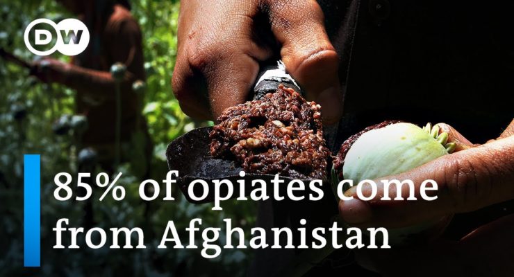 Afghanistan: heroin and human trafficking are the only two sectors of the economy still thriving