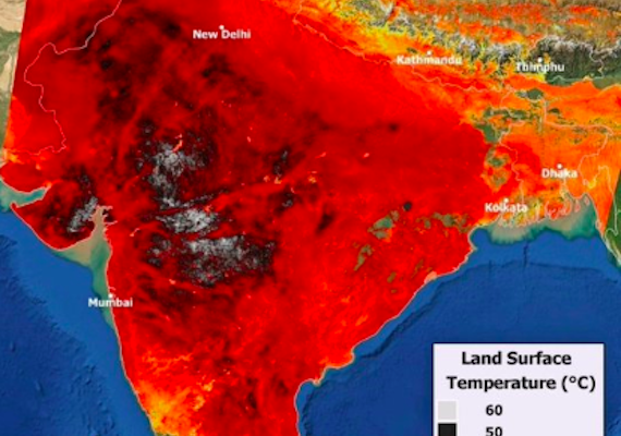 Climate Emergency: India’s Unprecedented Heat Wave blights Wheat Crops, adding to Global Bread Shortages
